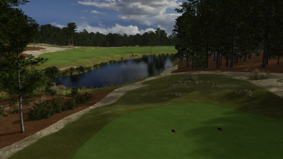 Foresight Sports Pinehurst No. 10