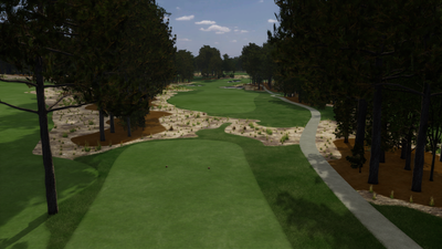 Foresight Sports Pinehurst No. 4