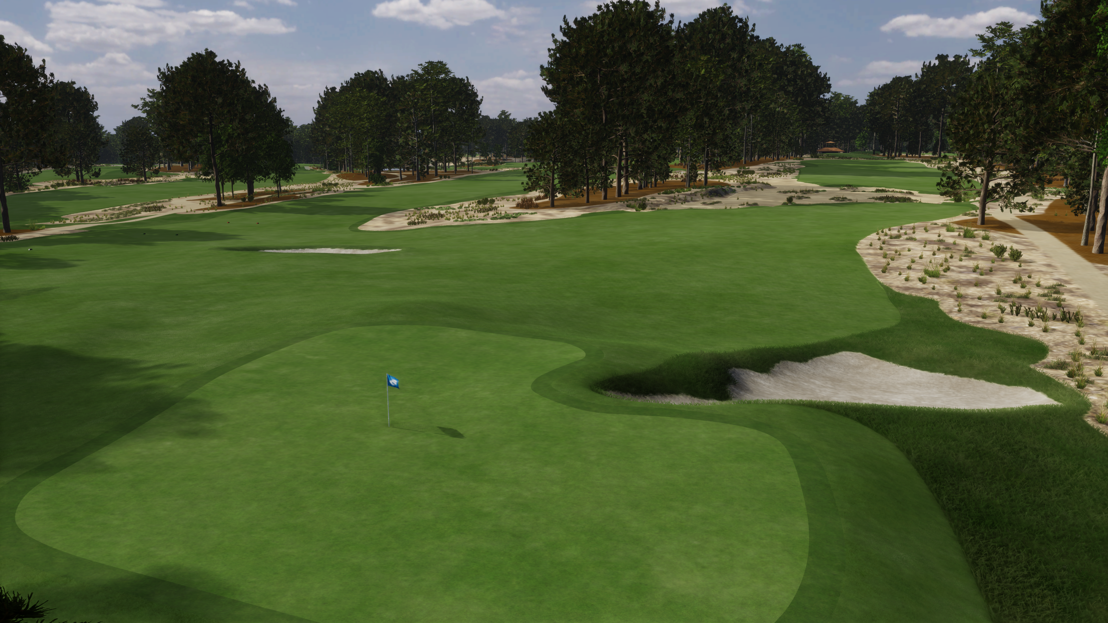 Pinehurst No. 4