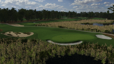 Foresight Sports Pinehurst No. 8